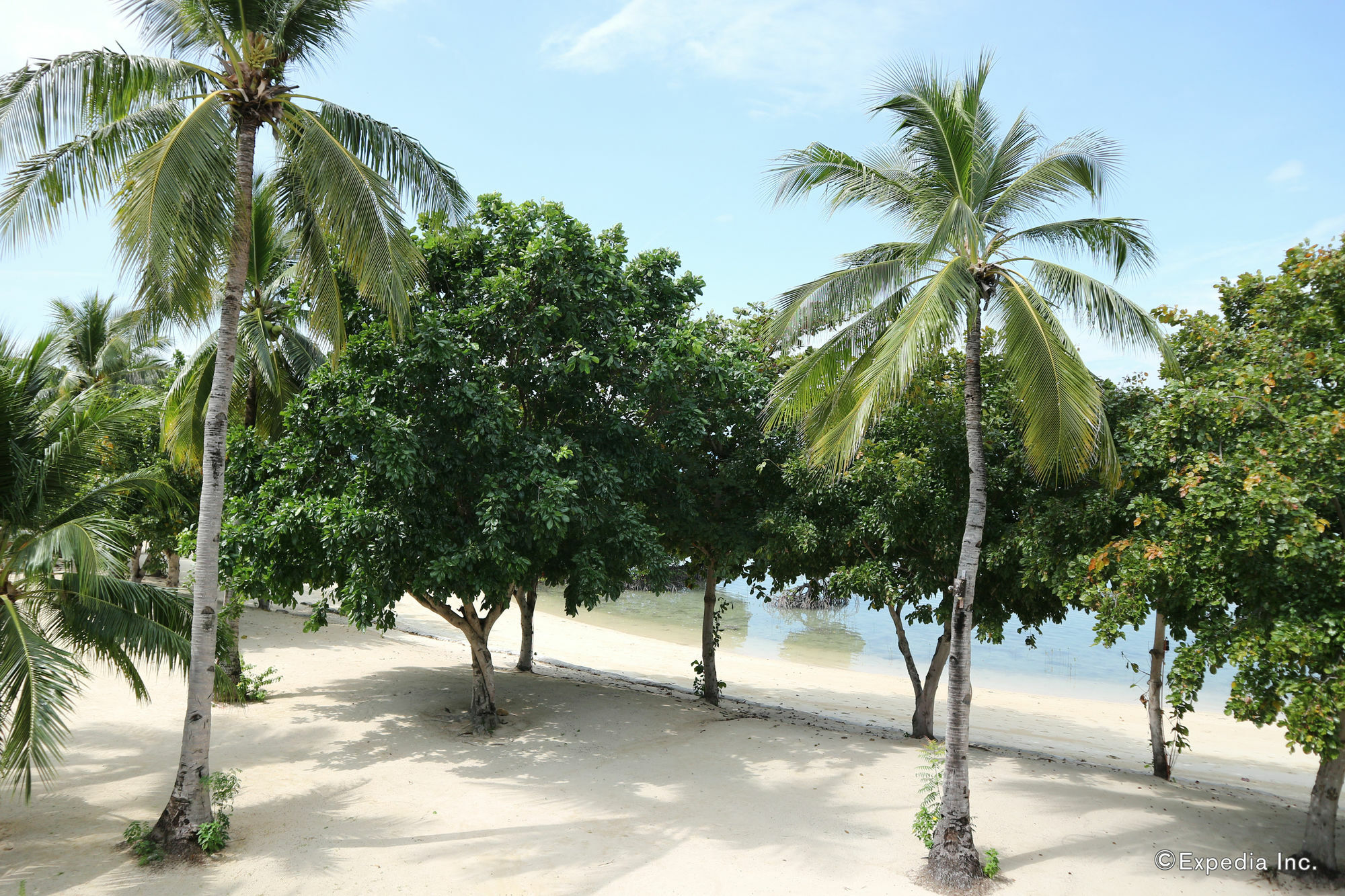 Dos Palmas Island Resort & Spa 푸에르토프린세사 외부 사진